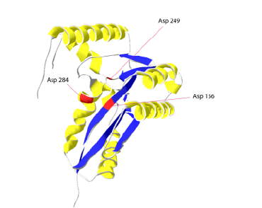 Transposase.png