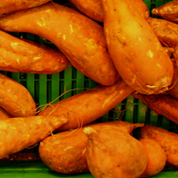 File:Ipomoea batatas.jpg